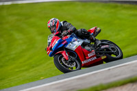 PJ-Motorsport-2019;anglesey;brands-hatch;cadwell-park;croft;donington-park;enduro-digital-images;event-digital-images;eventdigitalimages;mallory;no-limits;oulton-park;peter-wileman-photography;racing-digital-images;silverstone;snetterton;trackday-digital-images;trackday-photos;vmcc-banbury-run;welsh-2-day-enduro